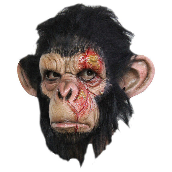 Infected Chimp