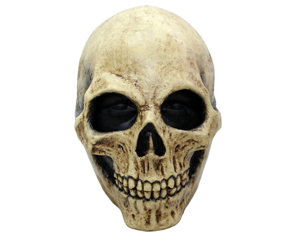 Bone Skull